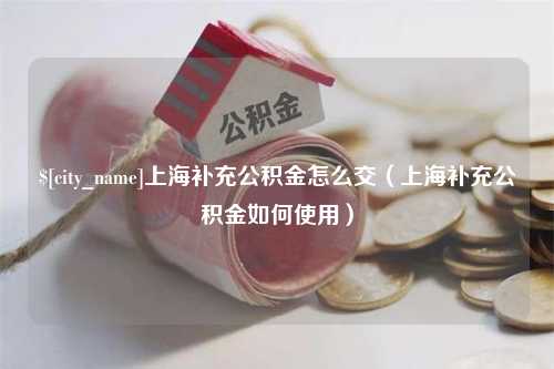 丹东上海补充公积金怎么交（上海补充公积金如何使用）